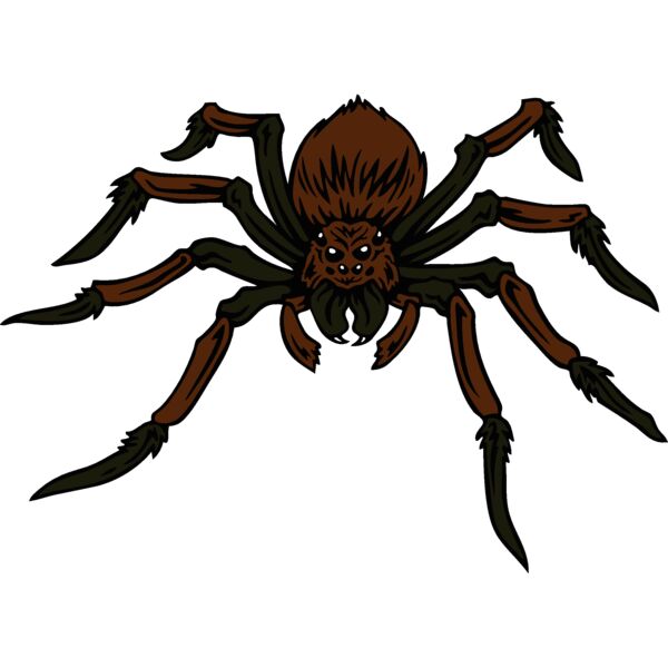 esspider004clr Thumbnail