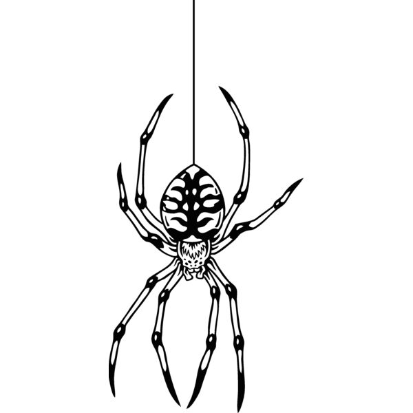 es2spider003bw Thumbnail