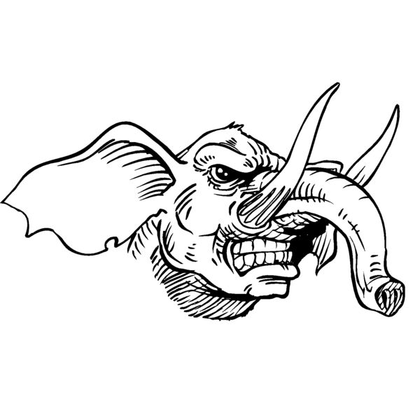 elephanthead07 Thumbnail