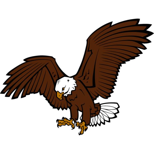 eagle02v4clr Thumbnail