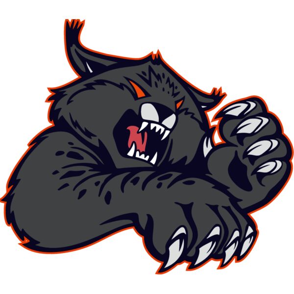 wildcat08v4clr Thumbnail